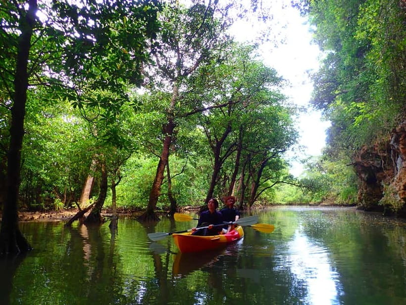 Ishigaki: Mangrove SUP or Canoe & Phantom Island Snorkeling - Snorkeling over fish and coral