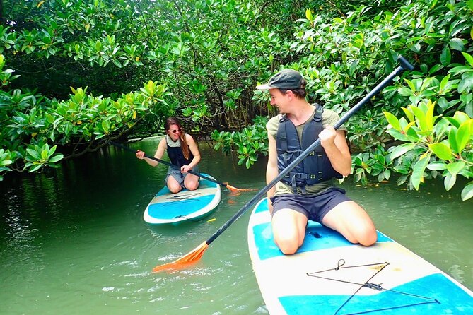Ishigaki Mangrove SUP or Canoeing and Phantom Island Snorkeling - Why this Ishigaki combination works so well
