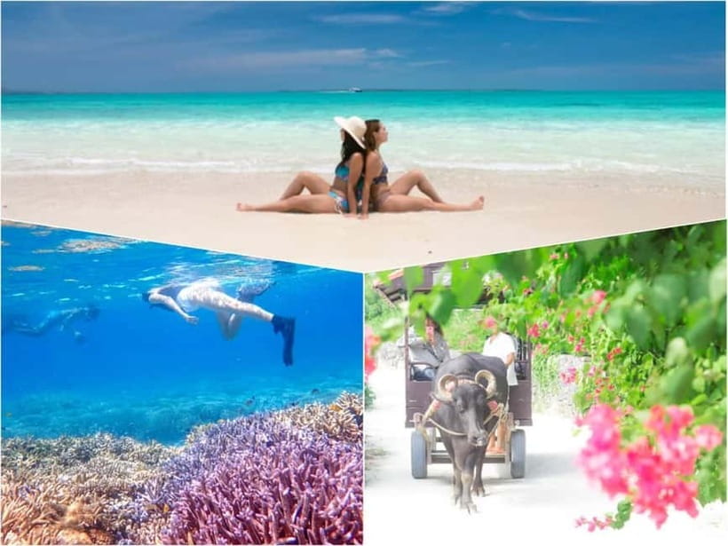 Ishigaki: Phantom Island Snorkeling and Taketomi Sightseeing - A short boat ride to one of Okinawa’s top snorkeling areas