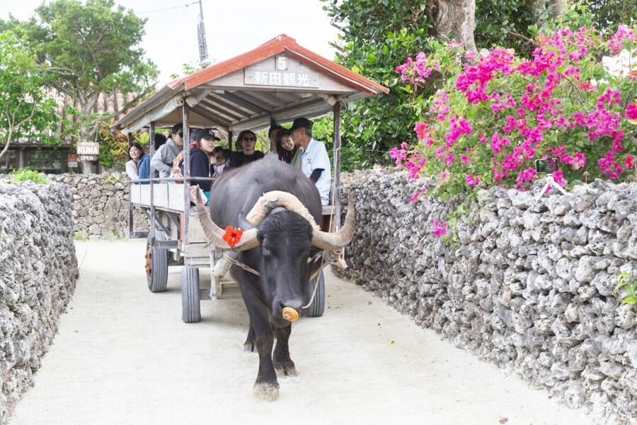 Ishigaki: Phantom Island Snorkeling and Taketomi Sightseeing - What $69 really covers