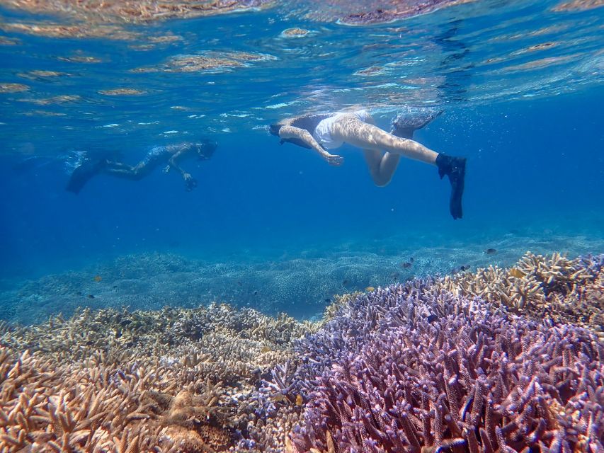 Ishigaki: Phantom Island Snorkeling and Taketomi Sightseeing - Who will get the most from this day