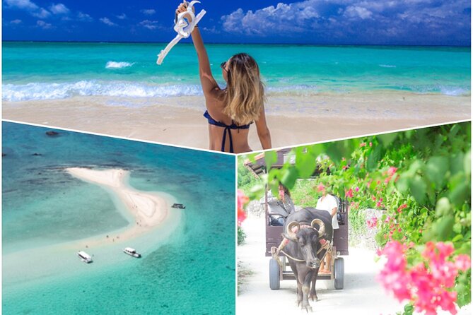 Ishigaki Phantom Island Snorkeling Taketomi Island Sightseeing - Two Okinawan scenes in four hours