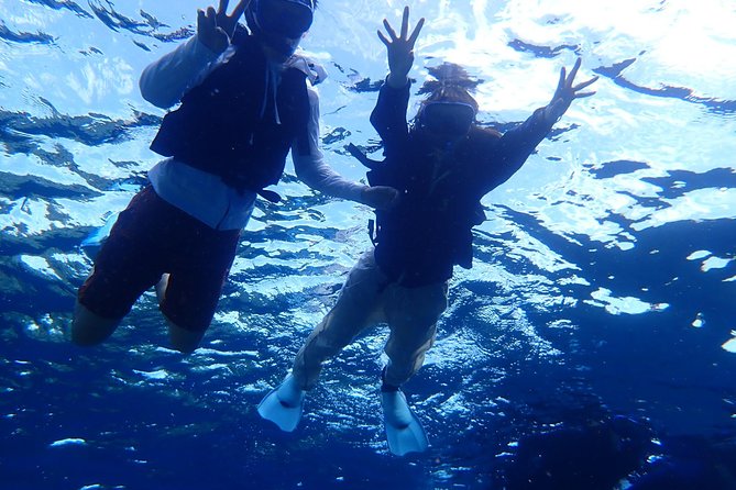 Ishigaki Phantom Island Snorkeling Taketomi Island Sightseeing - Phantom Island and its shifting shoreline