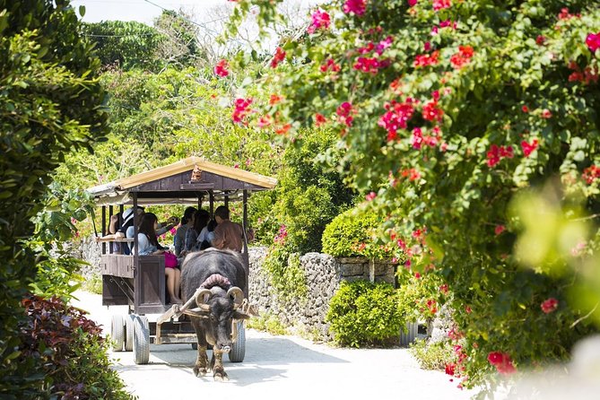 Ishigaki Phantom Island Snorkeling Taketomi Island Sightseeing - Weather can rewrite the day