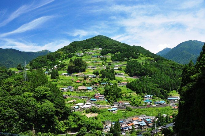 Iya Valley All Must-Sees Private Chauffeur Full-day Tour with a Driver - Mount Tsurugi requires a longer day