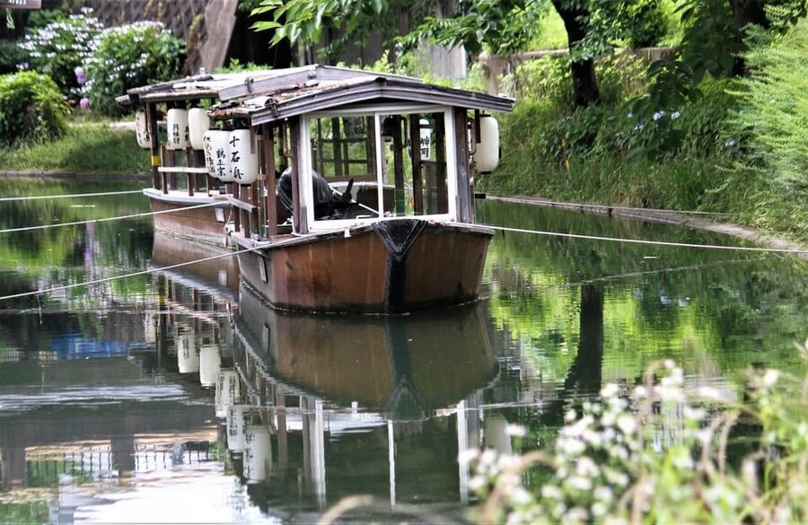 Japanese Sake Breweries Tour in Kyoto Fushimi - Who will enjoy this Fushimi afternoon