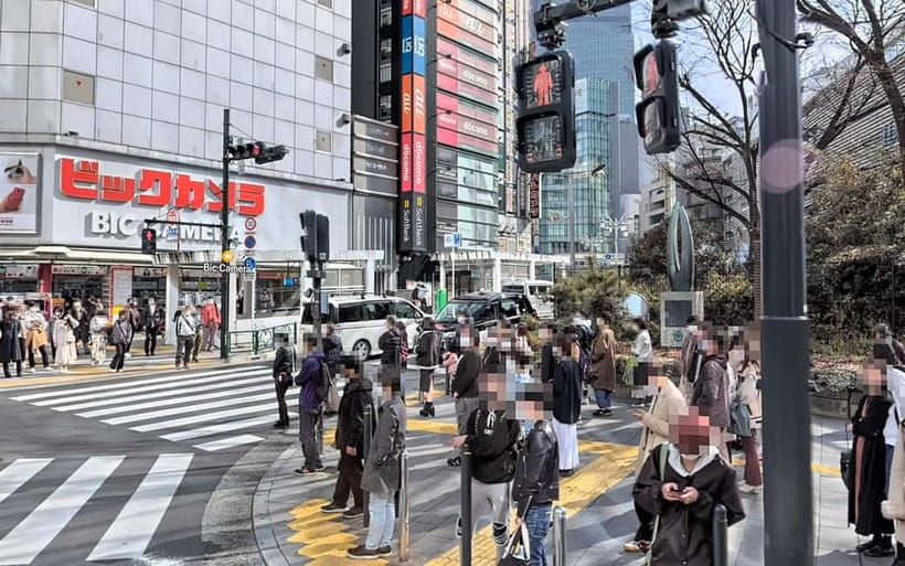 Kabukicho Macabre Tour - the Real Tokyo Vice - Key points before you book