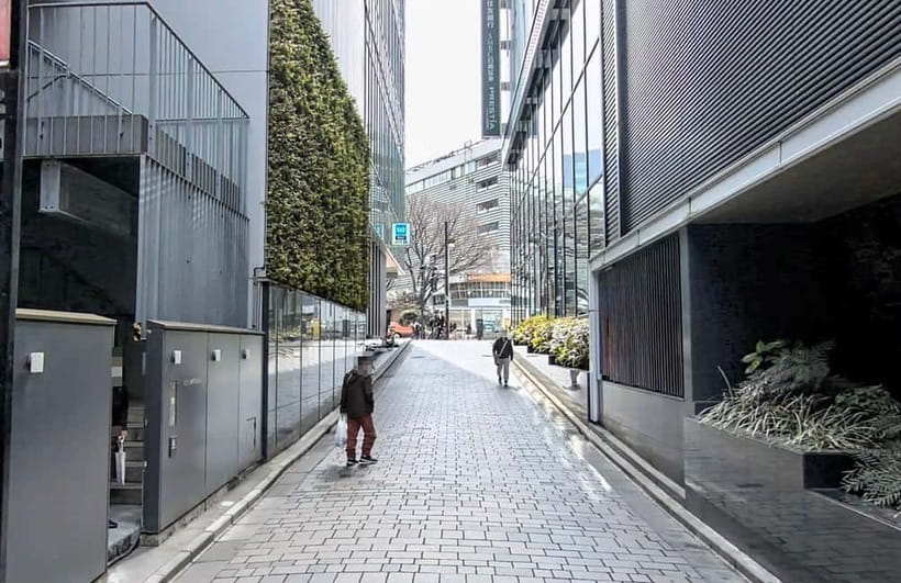Kabukicho Macabre Tour - the Real Tokyo Vice - Walking through real crime locations