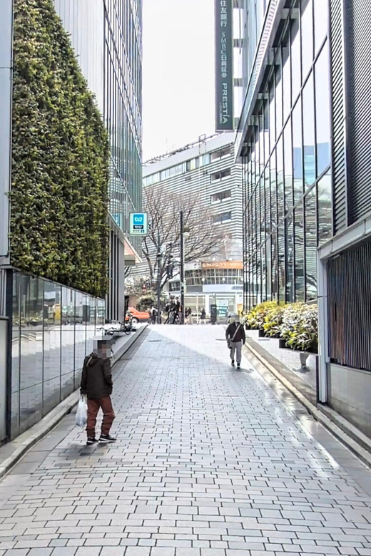 Kabukicho Macabre Tour - the Real Tokyo Vice - Is $56 a fair price for two hours?