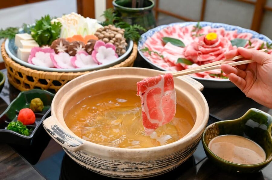 Kagoshima-city Sightseeing spot Private Tour - Rain, mobility, and family needs