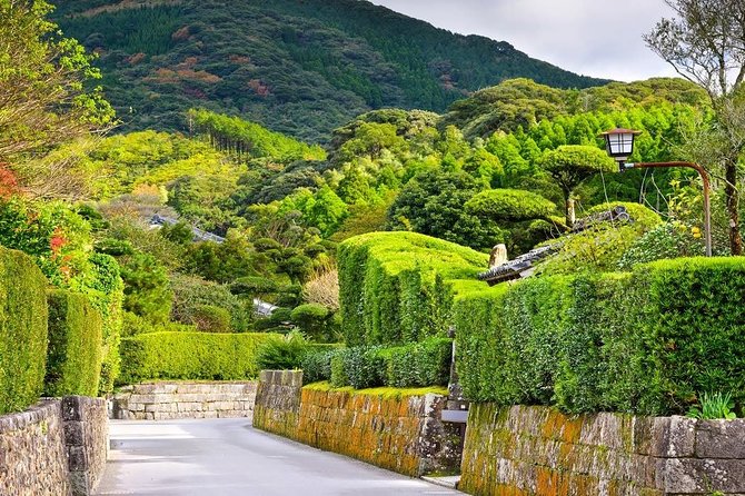 Kagoshima Full-Day Private Tour with Government-Licensed Guide - Reimeikan Museum for a wider view of local history