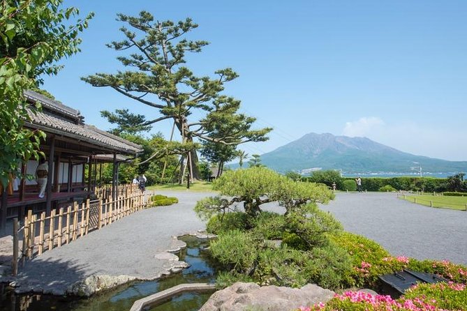 Kagoshima Full-Day Private Tour with Government-Licensed Guide - Shiroyama Park and the city view