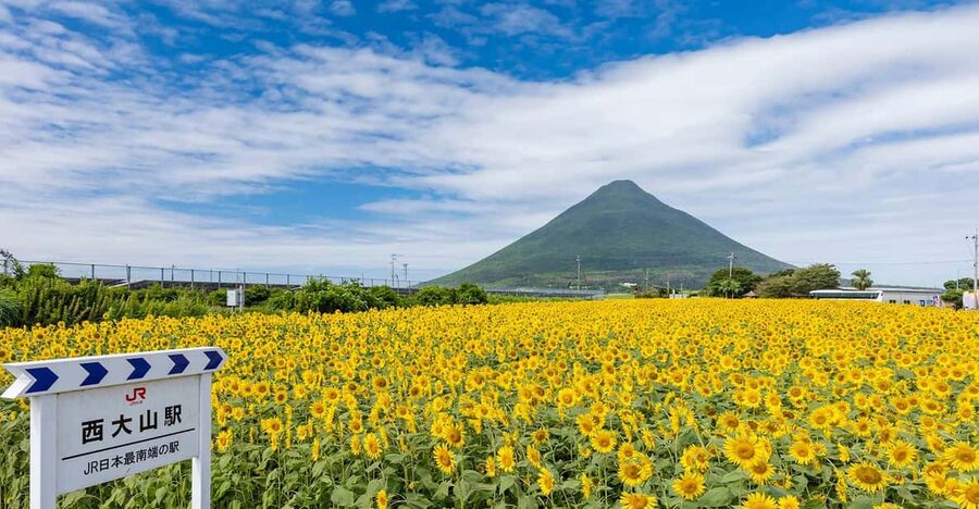 Kagoshima: Ibusuki City and Mount Kaimon Dake Tour - Lake Ikeda, Chirin Island, and the scenic pauses