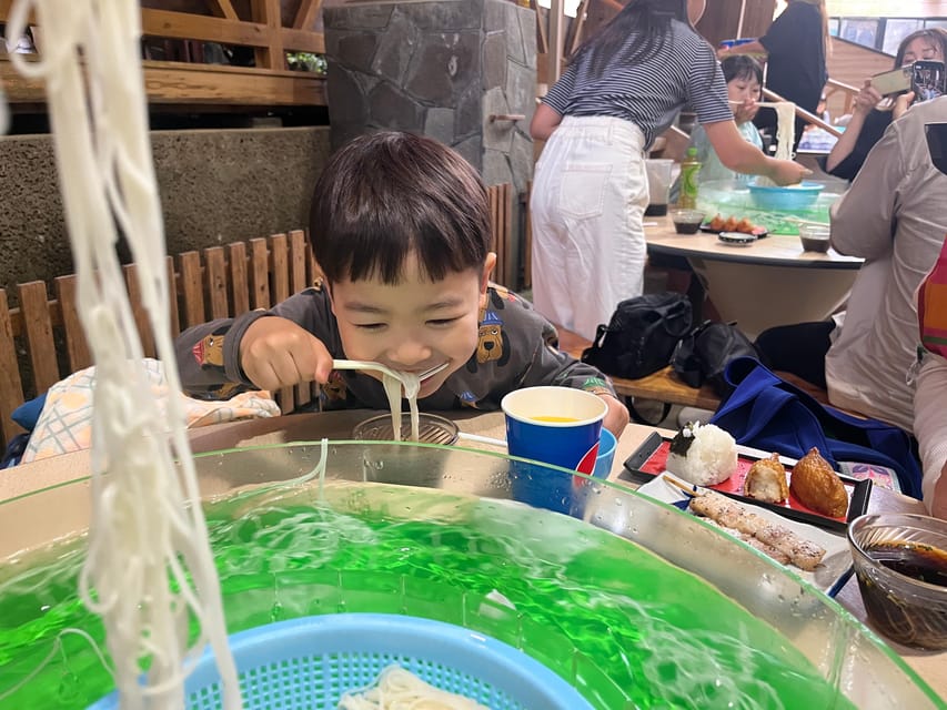 Kagoshima: Ibusuki City and Mount Kaimon Dake Tour - What the guides add to the day