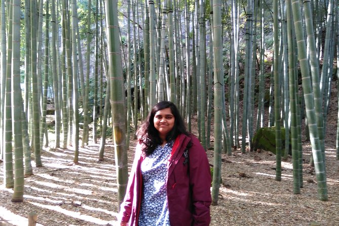 Kamakura 4hr Private Trip with Government-Licensed Guide - Hokokuji’s compact bamboo grove