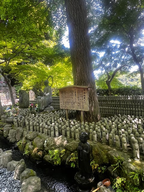 Kamakura and Enoshima: Private Guided Day Tour with Vehicle - The Great Buddha at Kotoku-in