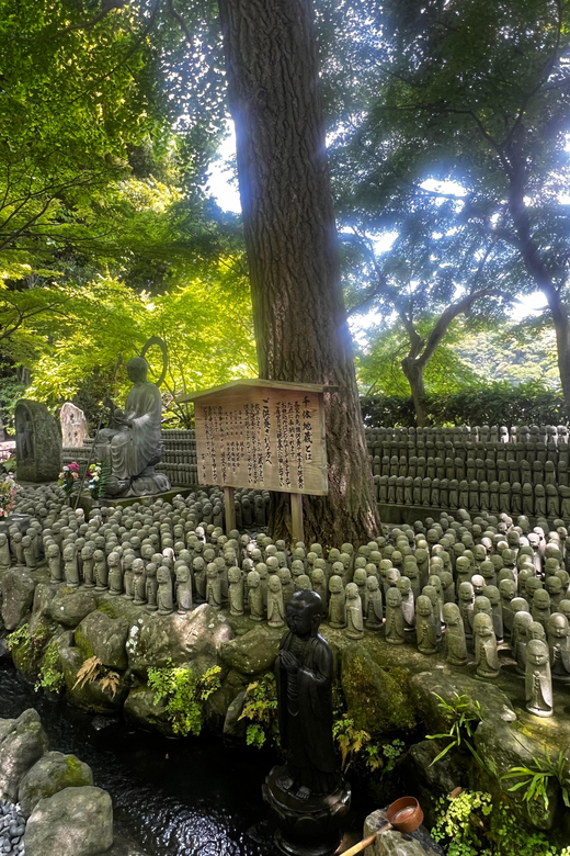 Kamakura and Enoshima: Private Guided Day Tour with Vehicle - Komachi Dori and the flavor of Kamakura