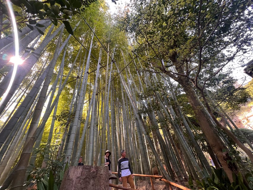 Kamakura and Enoshima: Private Guided Day Tour with Vehicle - Hase-dera’s gardens and coastal outlook