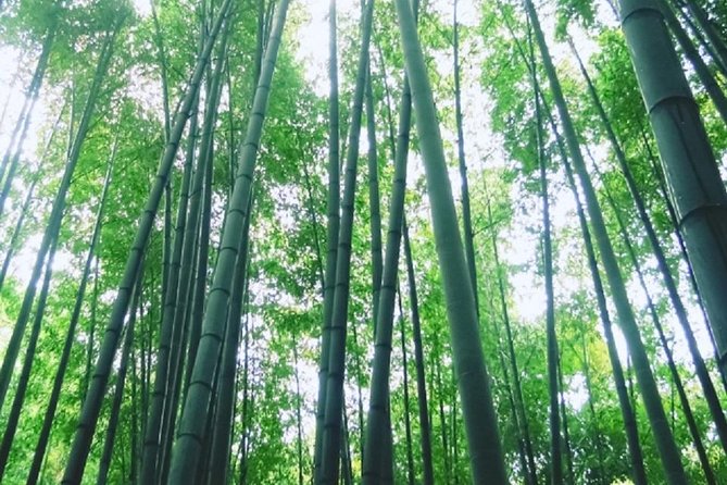 Kamakura Bamboo Forest and Great Buddha Private Tour - Komachi-dori for a short food stop