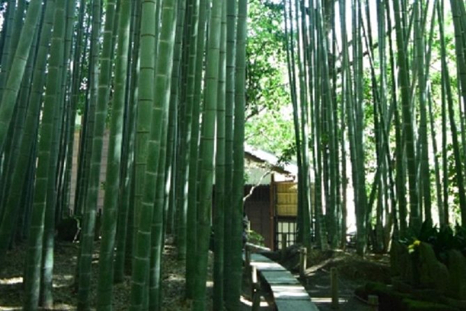Kamakura Bamboo Forest and Great Buddha Private Tour - Public transportation, timing, and walking