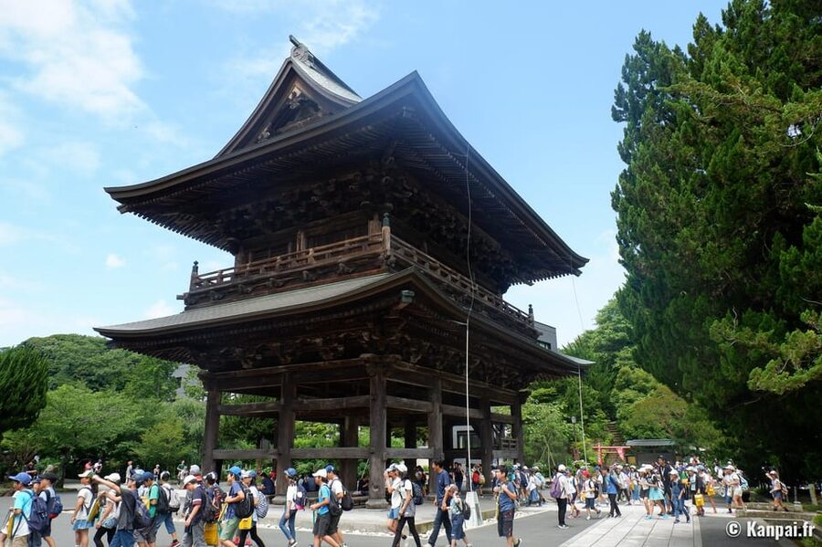Kamakura Half Day Tour with a Local Expert Guide - Tsurugaoka Hachimangu Shrine and Kamakura’s main sights