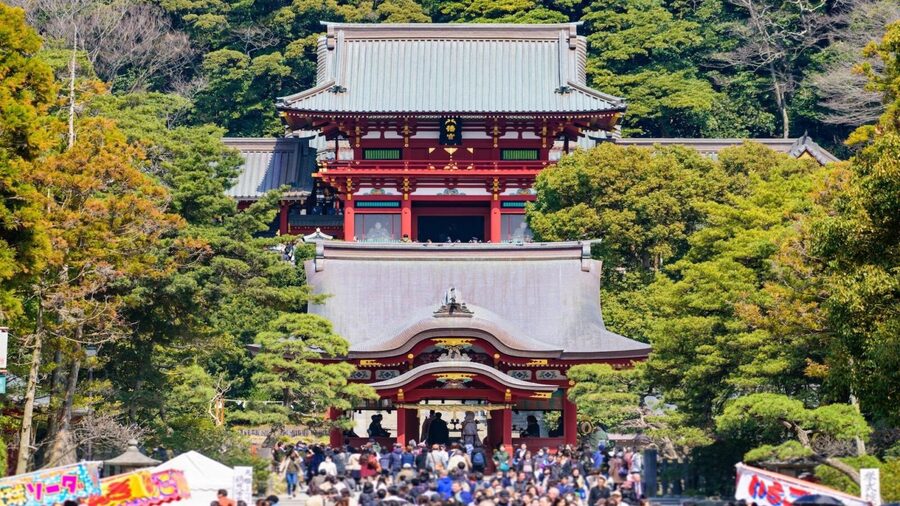 Kamakura Half Day Tour with a Local Expert Guide - Scenic walking, with real limits