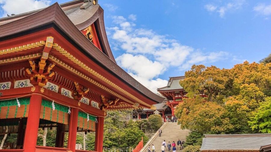 Kamakura Half Day Tour with a Local Expert Guide - Is $87 per person a fair price?