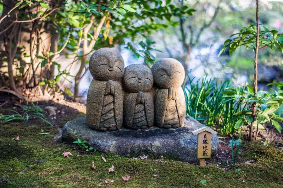 Kamakura Half Day Tour with a Local Expert Guide - Meeting your guide in Tokyo or Kamakura