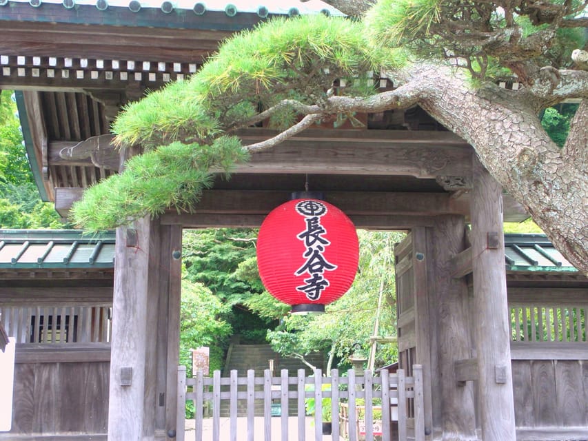 Kamakura Temples Private Guided Tour from Tokyo - Tsurugaoka Hachimangu, Kamakura’s central shrine