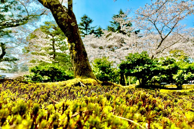 Kanazawa Full Day Private Tour to Top Highlights with Local Guide - Nagamachi’s samurai lanes and Nomura Family House