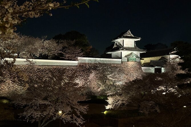 Kanazawa Full Day Private Tour to Top Highlights with Local Guide - What the $197.06 price includes