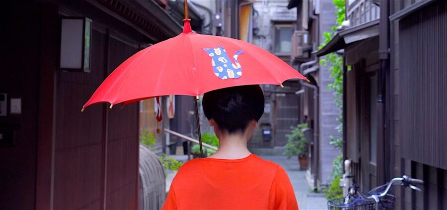 Kanazawa: Half-Day Private Guided Tour - The samurai district and its quiet mud walls
