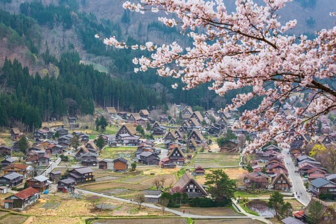 Kanazawa Half-day Tour: Curated: Gardens, Craft & Geisha District - Matcha at a quiet samurai residence