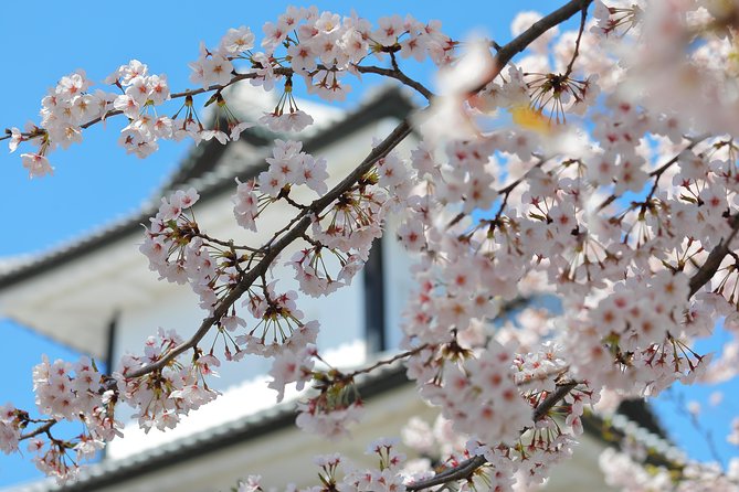 Kanazawa private half day/Photoshoot by professional photographer - Kanazawa Castle, a brief look at Maeda power