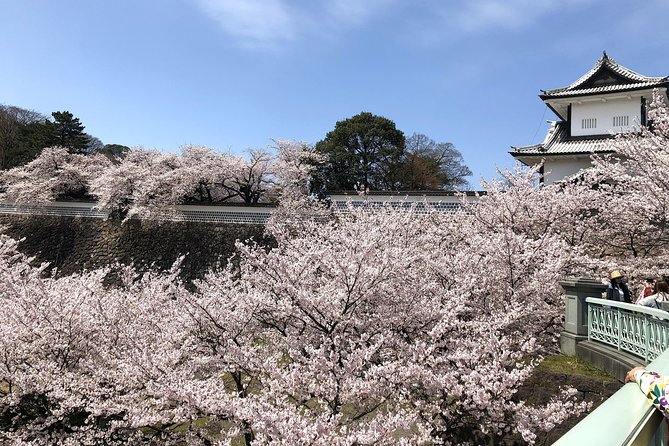 Kanazawa Private Tour: Highlights of an Old Samurai Town - What the guides add to the experience