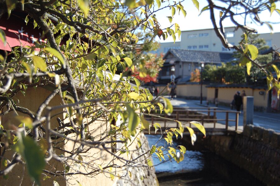 Kanazawa: Samurai Residence Remains Nomura Family admission - The Japanese garden is the quiet center