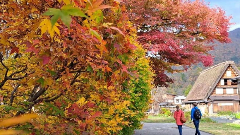 Kanazawa/Takayama: Shirakawago & Takayama Private Day Tour - Why a private van makes this route easier
