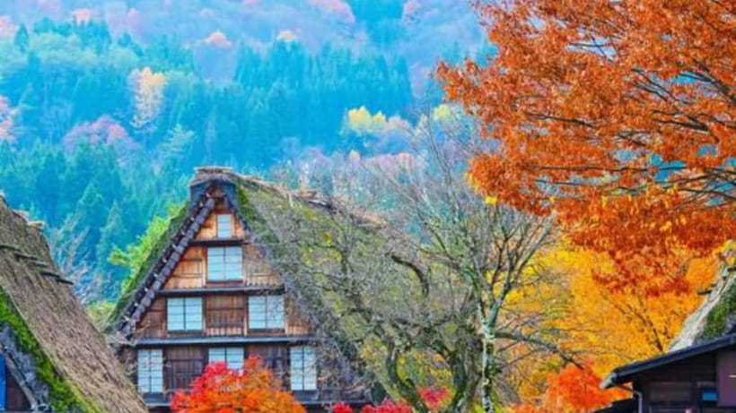 Kanazawa/Takayama: Shirakawago & Takayama Private Day Tour - Hida no Sato’s old farmhouses