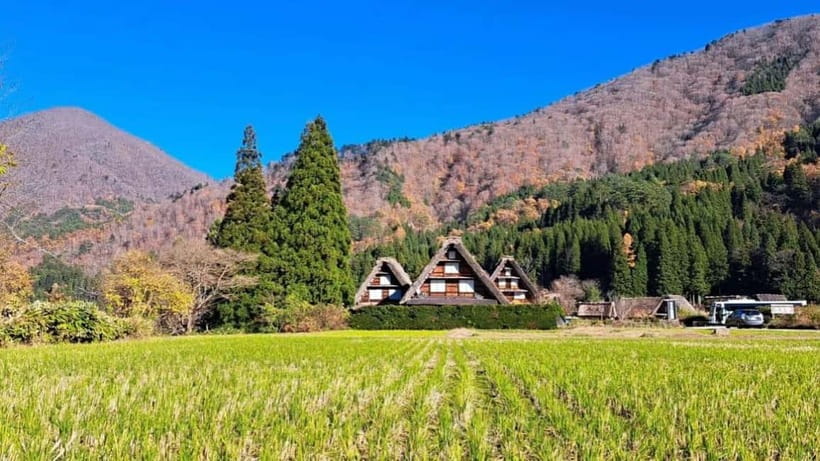 Kanazawa/Takayama: Shirakawago & Takayama Private Day Tour - Takayama old town: food, sake, and small shops