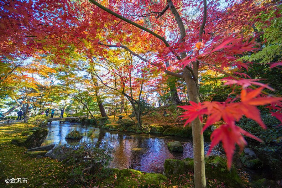 Kanazawa: World Heritage Shirakawa-go & Two Local Experience - Is $116 a fair price?