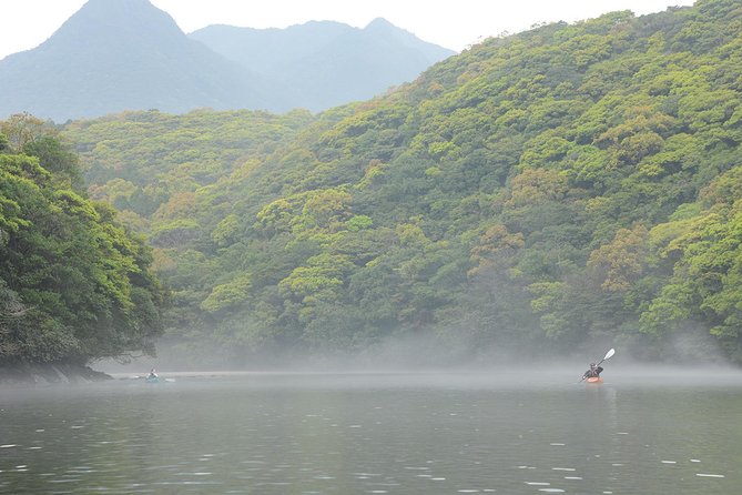 Kayaking in Anbo River - Key points to know before you paddle