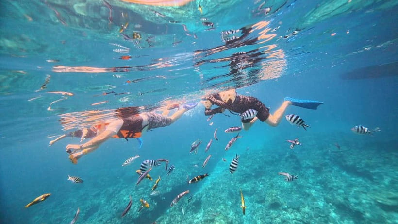 Kerama Half-Day Snorkeling Tour - Who should book this half-day trip