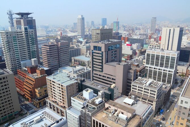 Kobe : Private Custom Tour (Excursion to Osaka / Kyoto possible) - A private Kobe day that changes to fit your interests