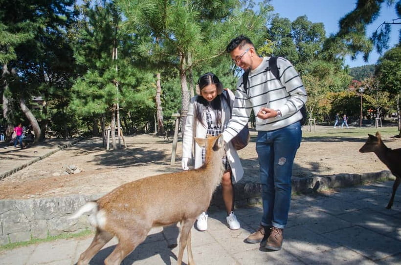 Kobe: Private Walking Shore Excursion- Kyoto/Osaka/Nara/Kobe - A Kobe port day built around your interests