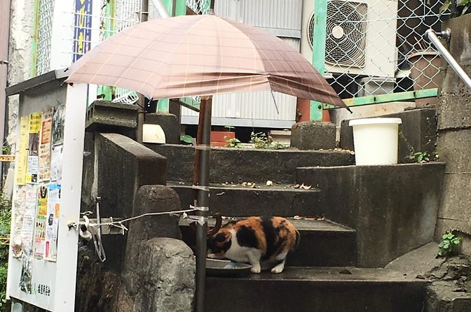 KOBE, SHIOYA, a quaint fishing town walking tour - Meeting the people who give Shioya its character