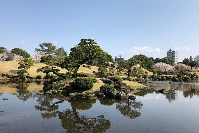 Kumamoto Full-Day Private Tour with Government-Licensed Guide - What the guides add to the day