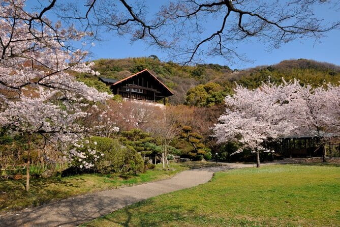 Kyoto 1 Day Suntory Yamazaki Distillery Tour and Asahi Art Museum - Who should book this half-day outing?