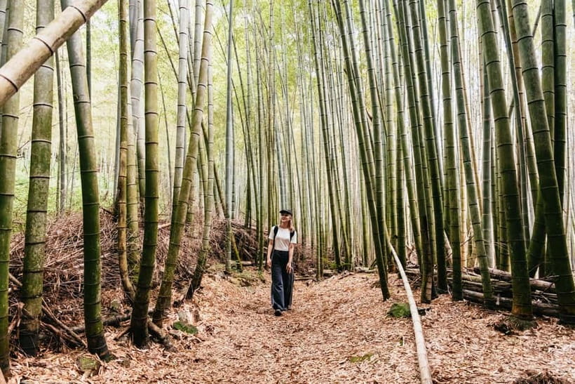 Kyoto: 3-Hour Fushimi Inari Shrine Hidden Hiking Tour - Key points at a glance