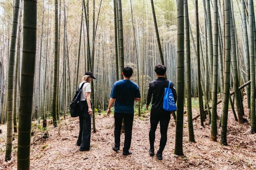 Kyoto: 3-Hour Fushimi Inari Shrine Hidden Hiking Tour - What $72 buys you