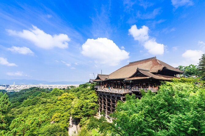 Kyoto 6hr Instagram Highlights Private Tour with Licensed Guide - Why this private Kyoto tour works best for a focused wish list
